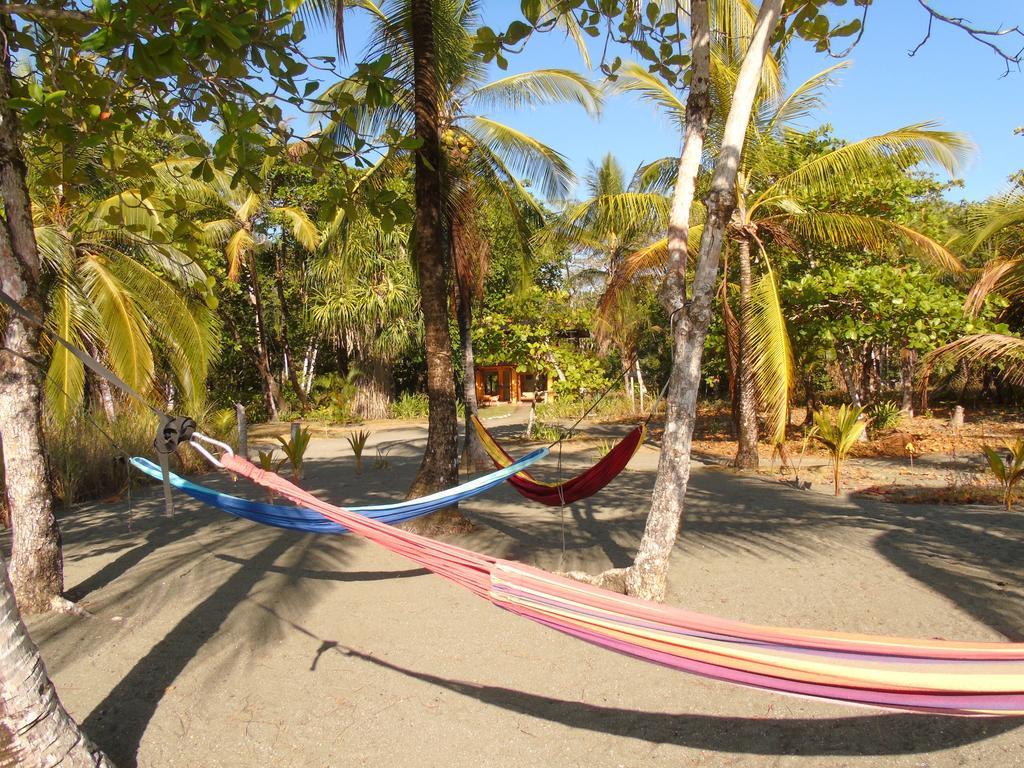 Punta Preciosa Bed and Breakfast Puerto Jiménez Esterno foto